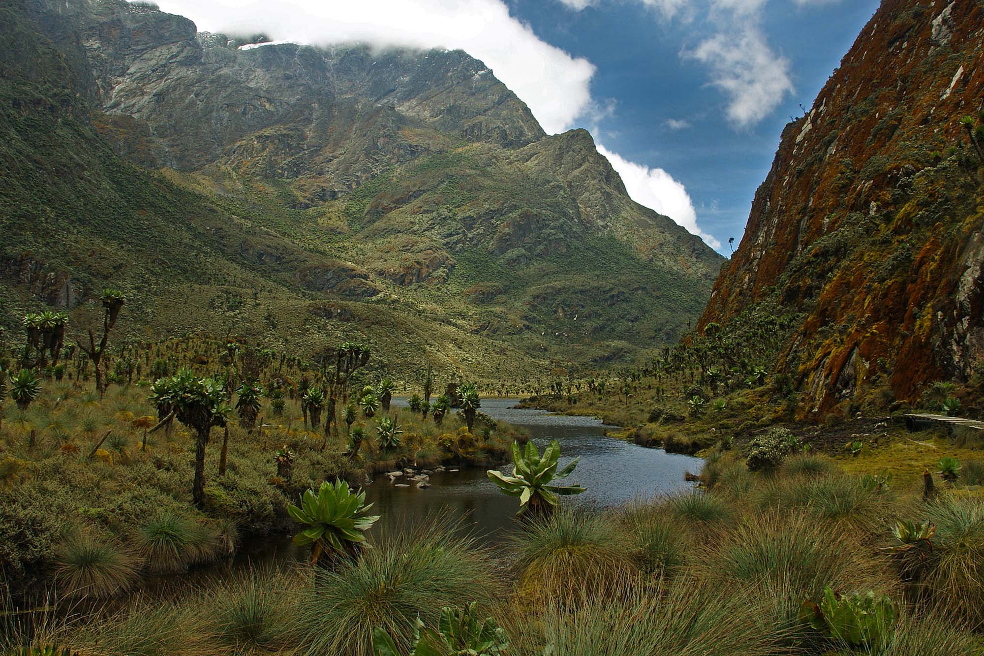 Rwenzori Mountains National Park