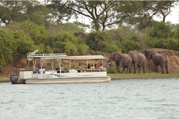 Screenshot 2024-02-24 at 10-18-55 3 Days Queen Elizabeth Safari in Uganda Tour -Big5 Birds Culture